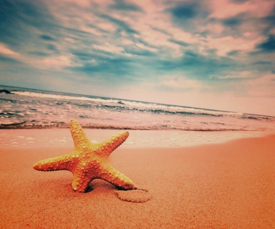 Морская звезда в песке обои