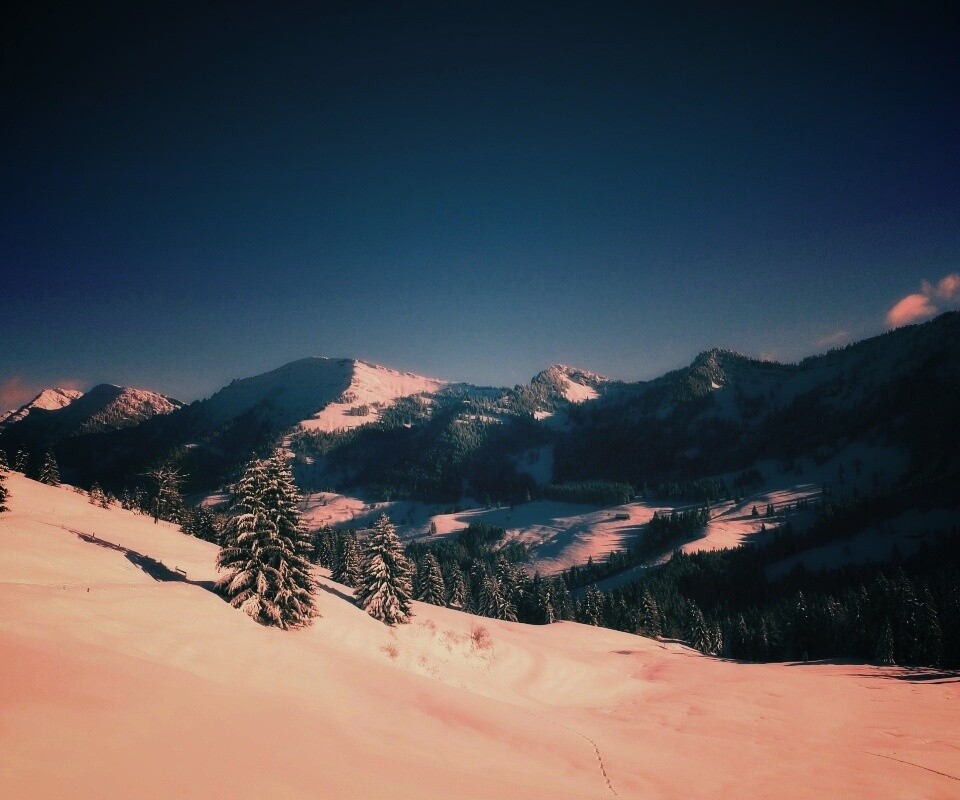 Лес в горах обои