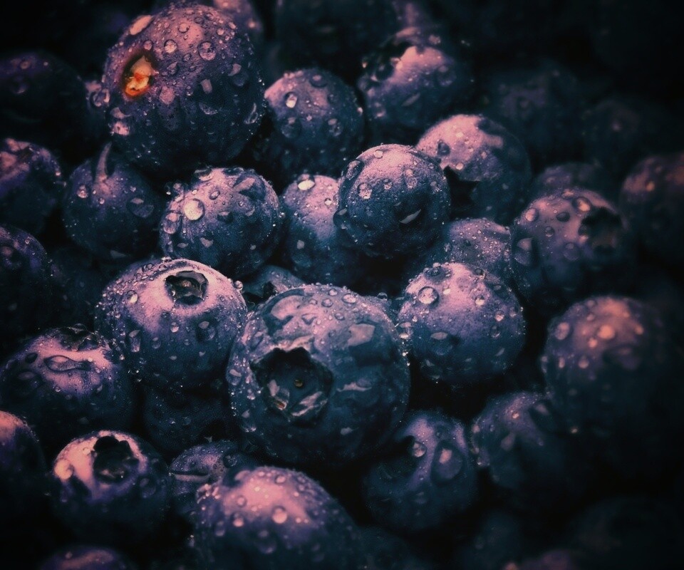 Свежая черника обои