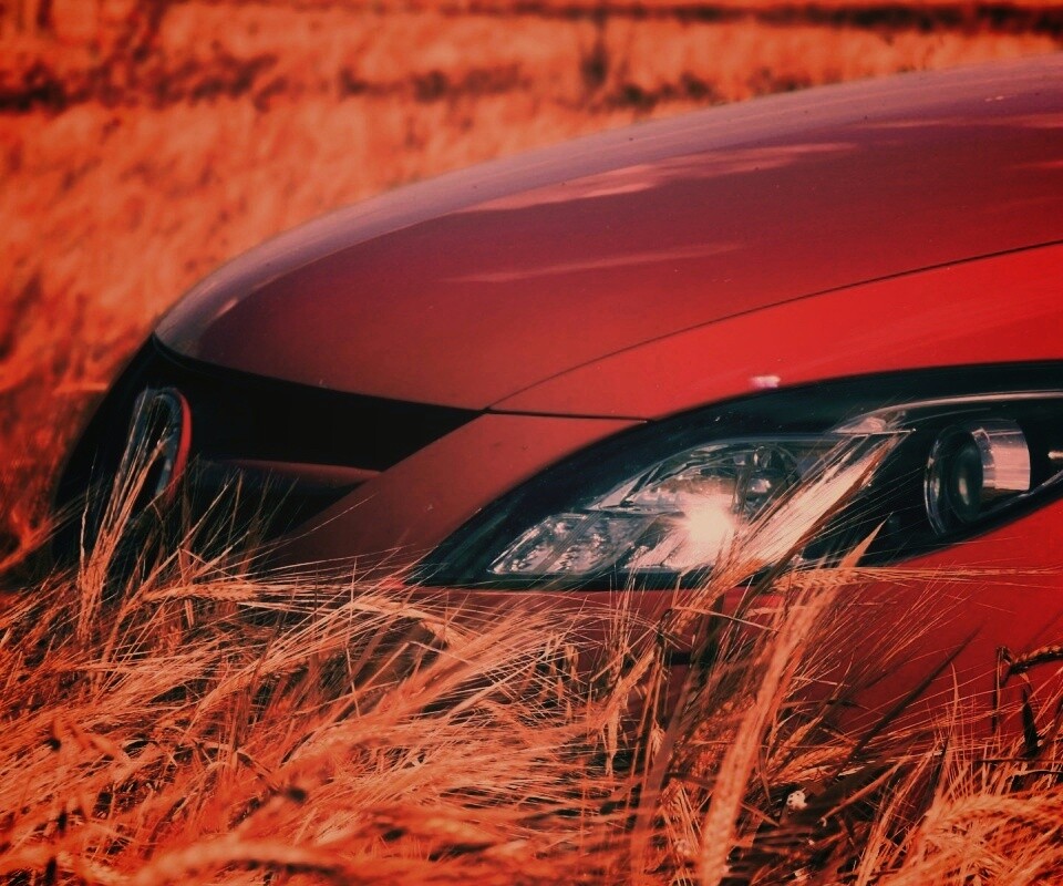 Мазда в пшенице обои