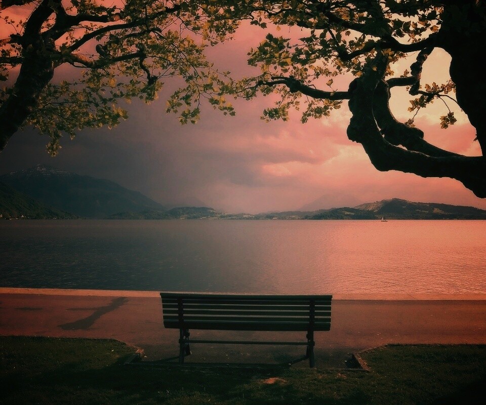 Скамейка на берегу обои