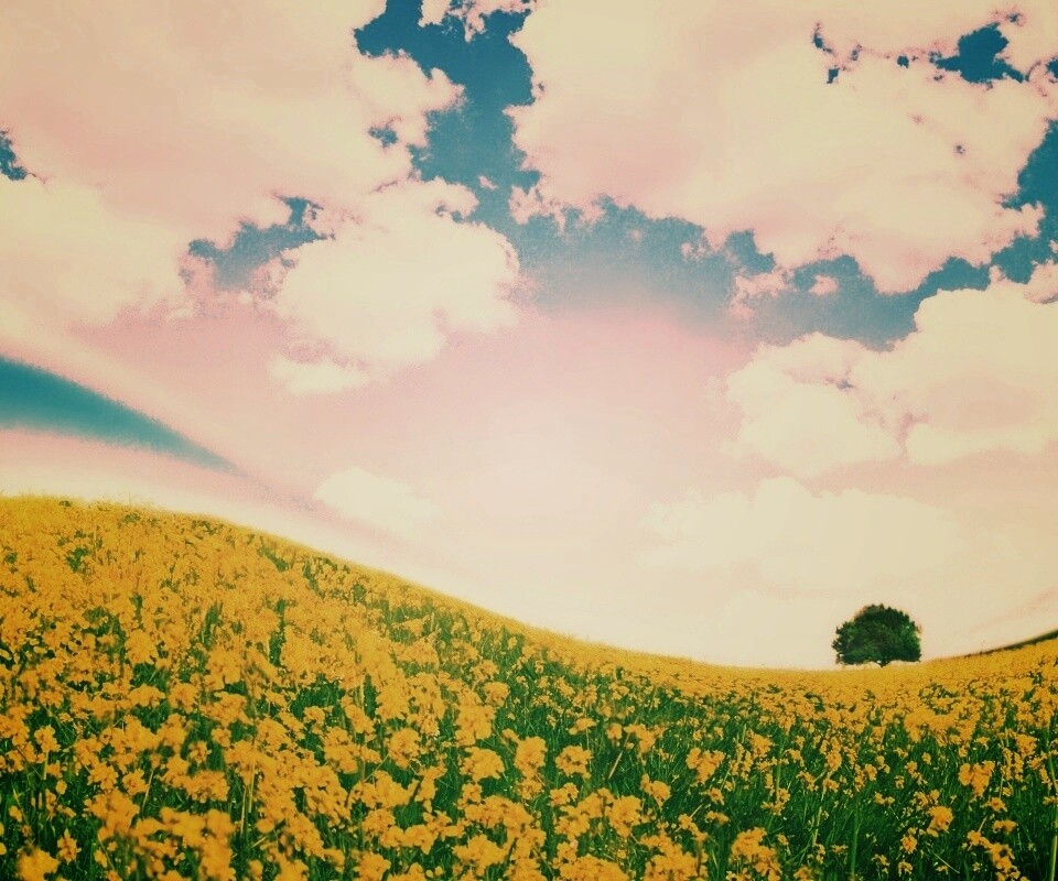 Искаженный мир обои