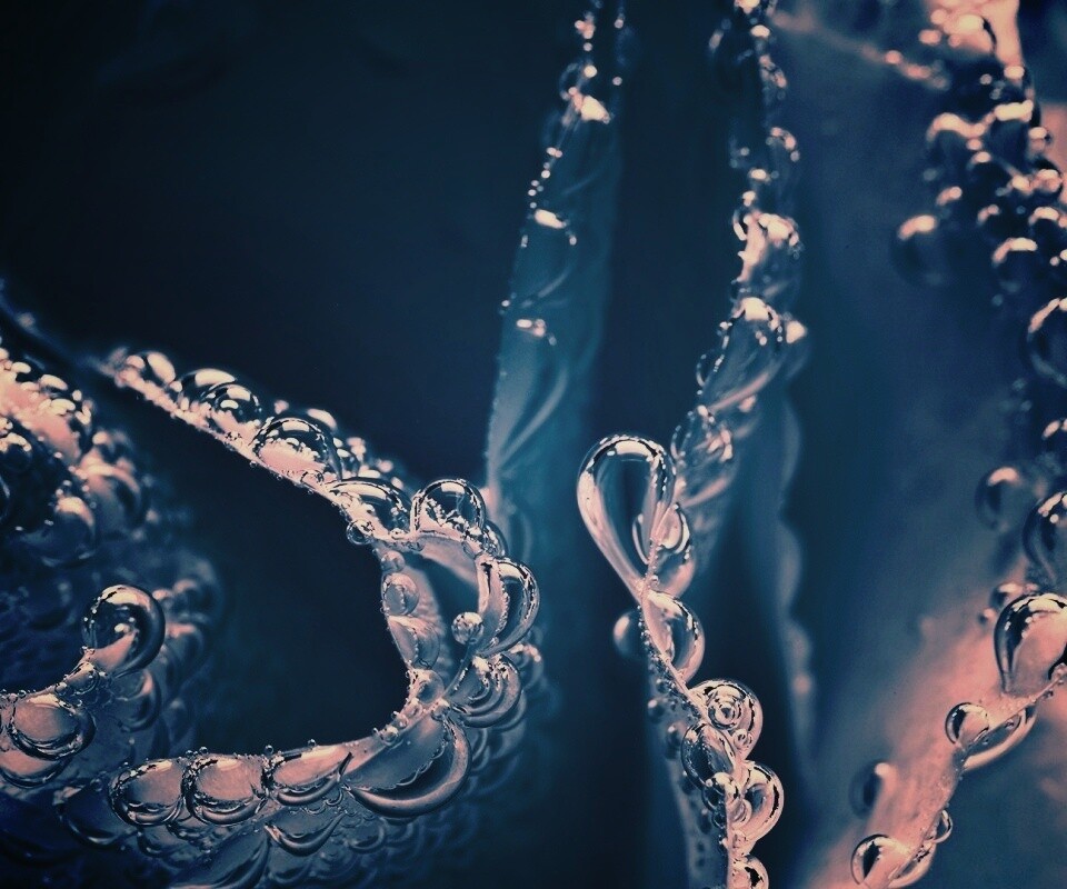 Капельки росы на синих лепестках обои