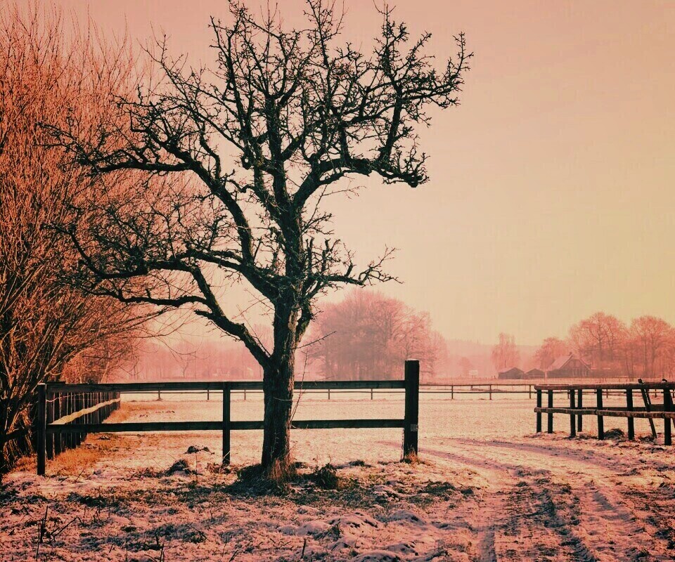 Зимний пейзаж обои