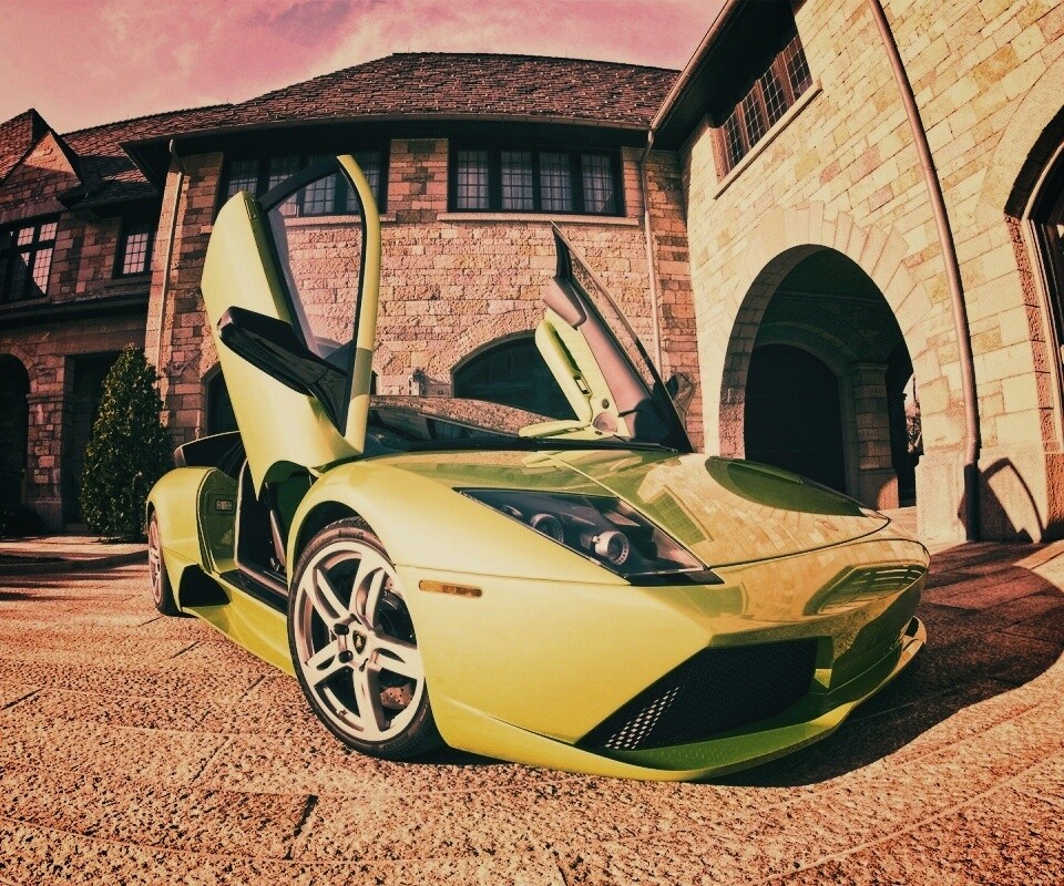 Зеленая ламба обои