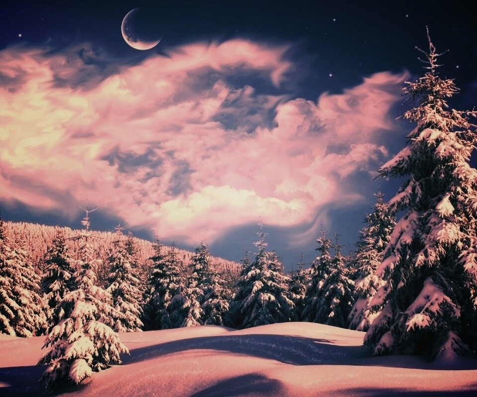 Зимний еловый лес обои