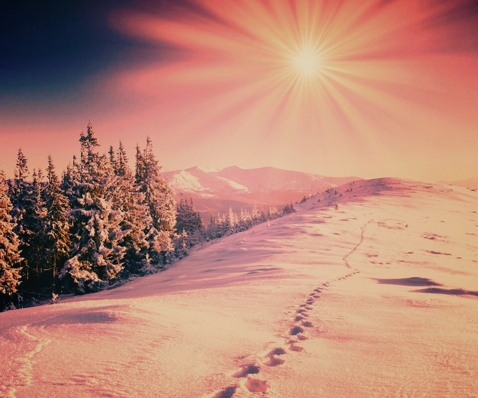 Холодные лучи зимнего солнца обои