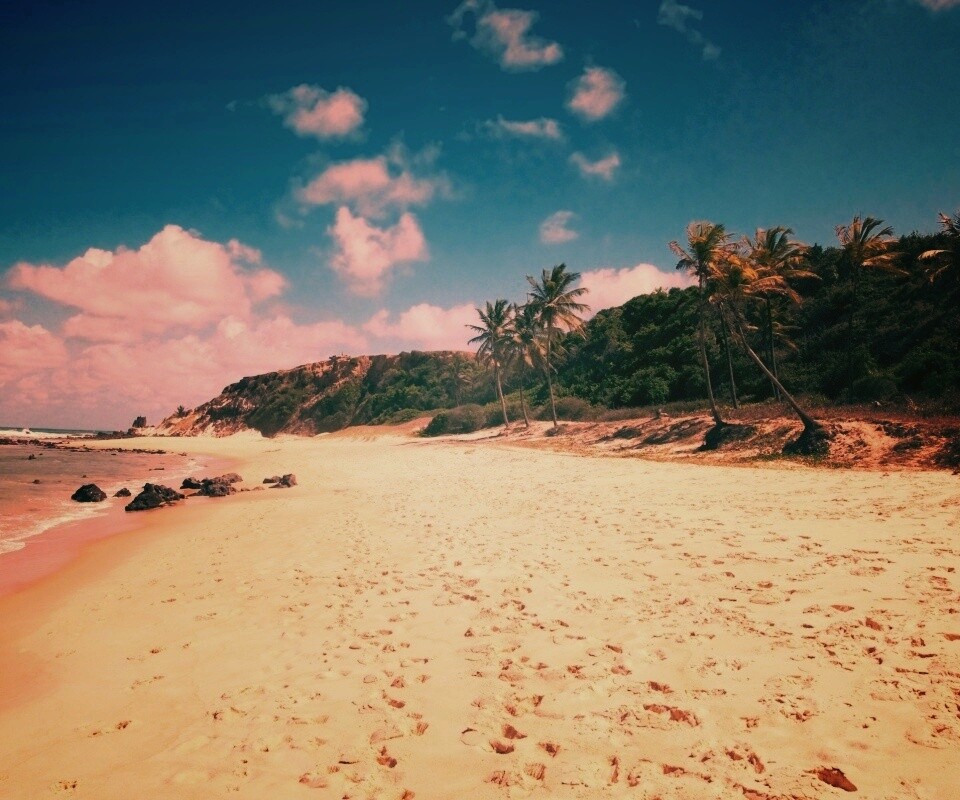 Туры в Бразилию в Лондрину обои