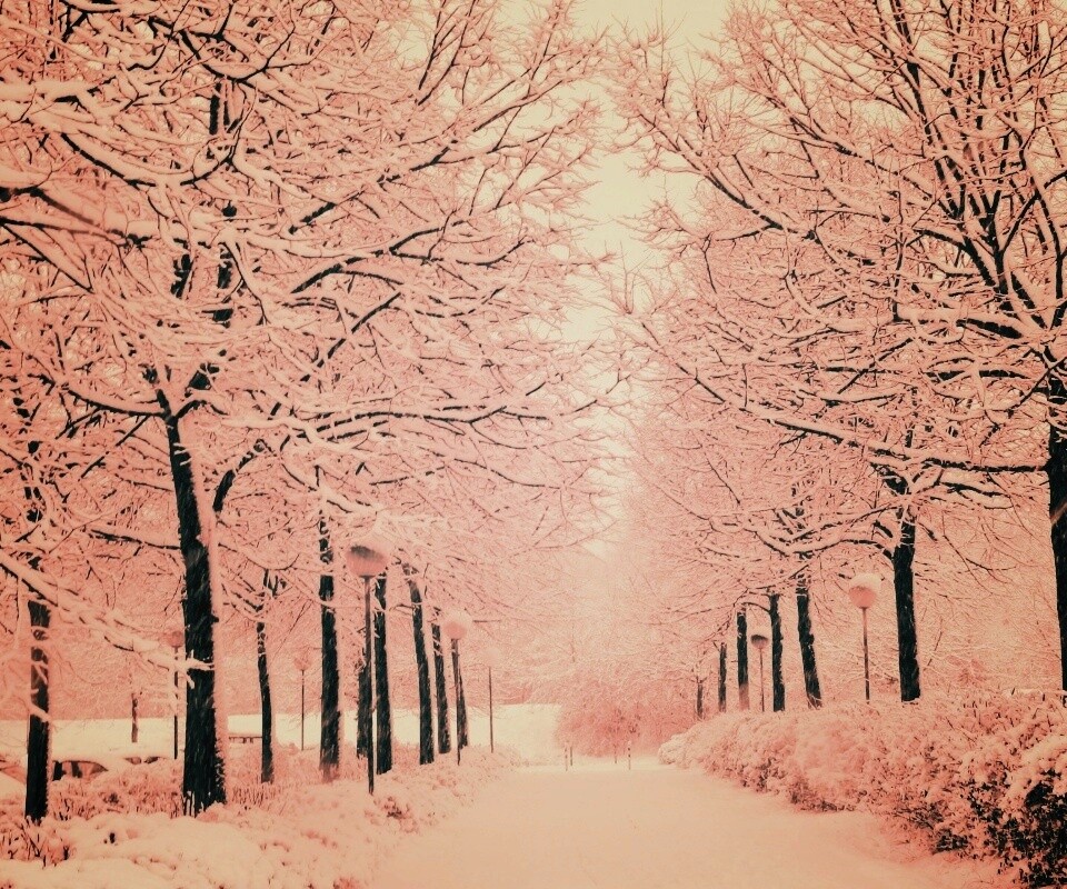 Заснеженная аллея обои