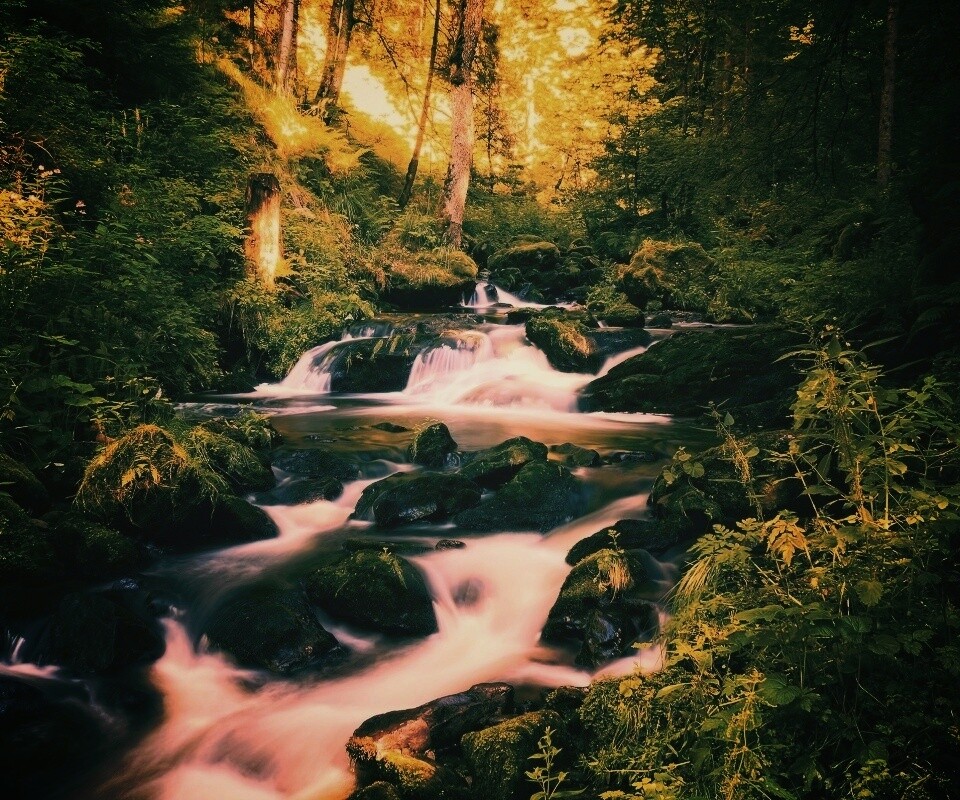 Живописный лесной водопад обои