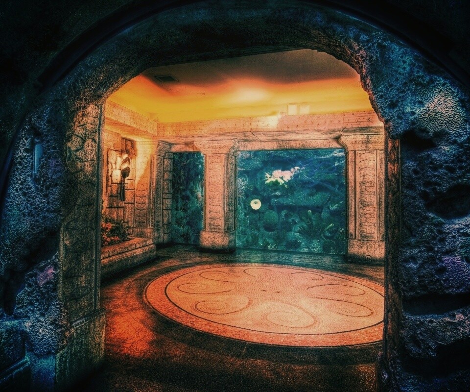 Аквариум обои