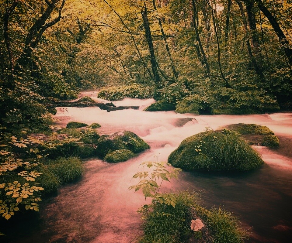 Лесная река обои