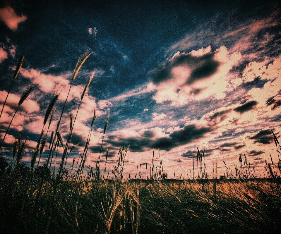 HDR Поле обои