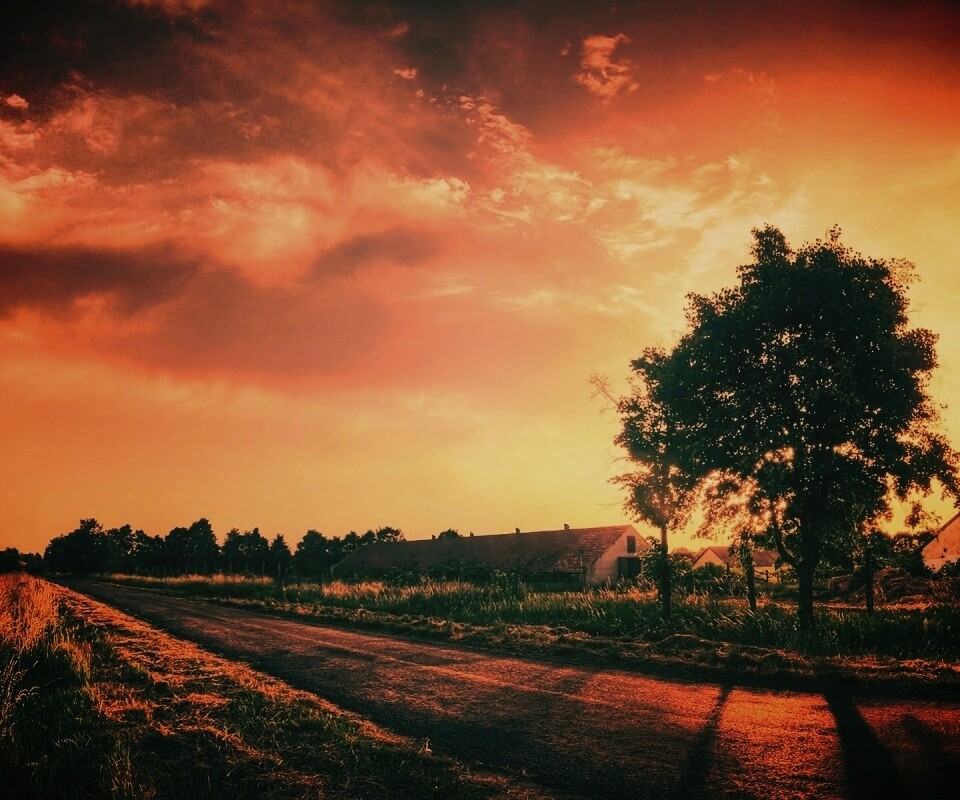 Закат на фоне дерева в HDR обои