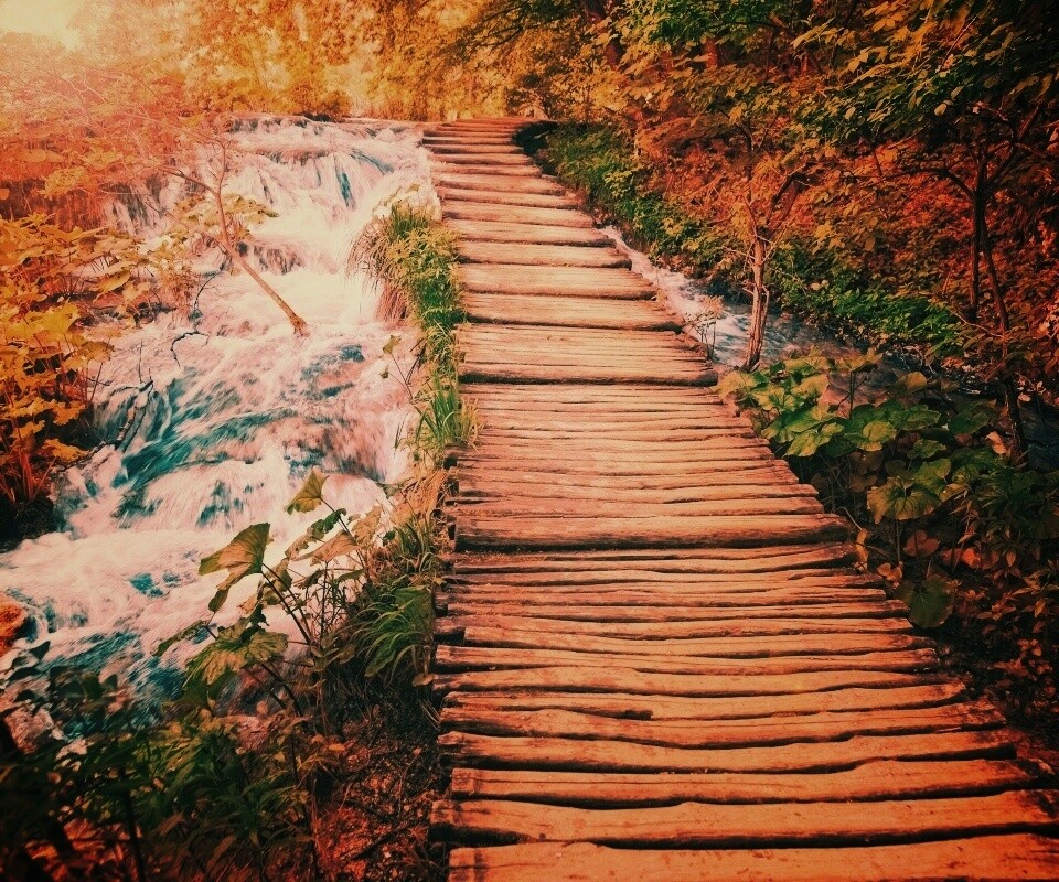 Деревянная дорожка над ручьем обои