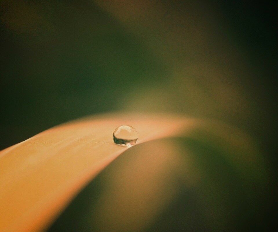 Капелька воды обои
