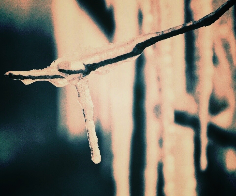 Сосуля обои