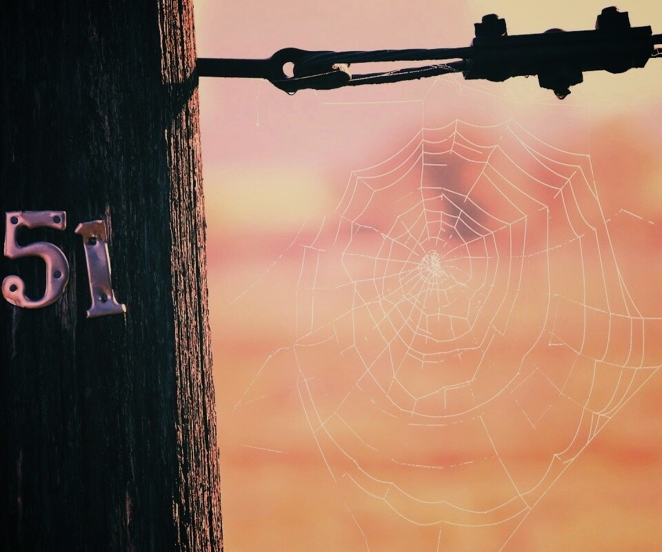 Паутина 51 обои