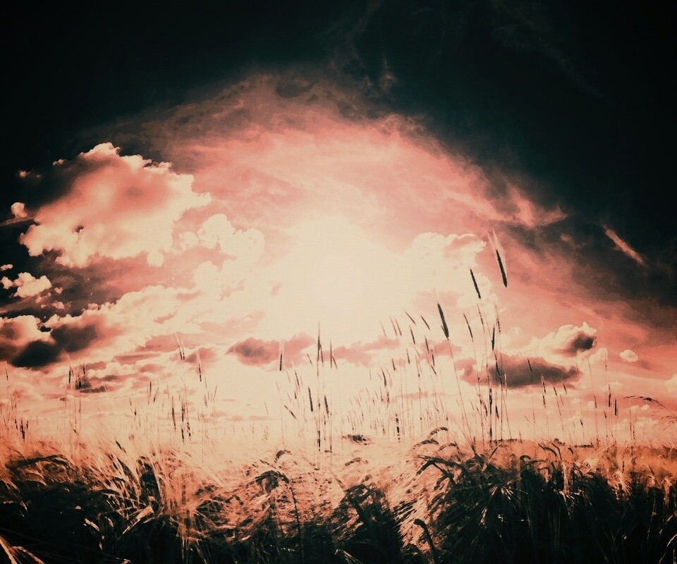 Сюрреалистичная трава обои