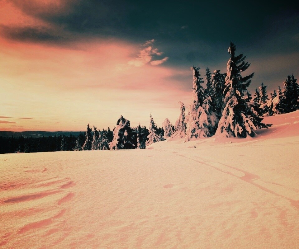 Зимние просторы обои