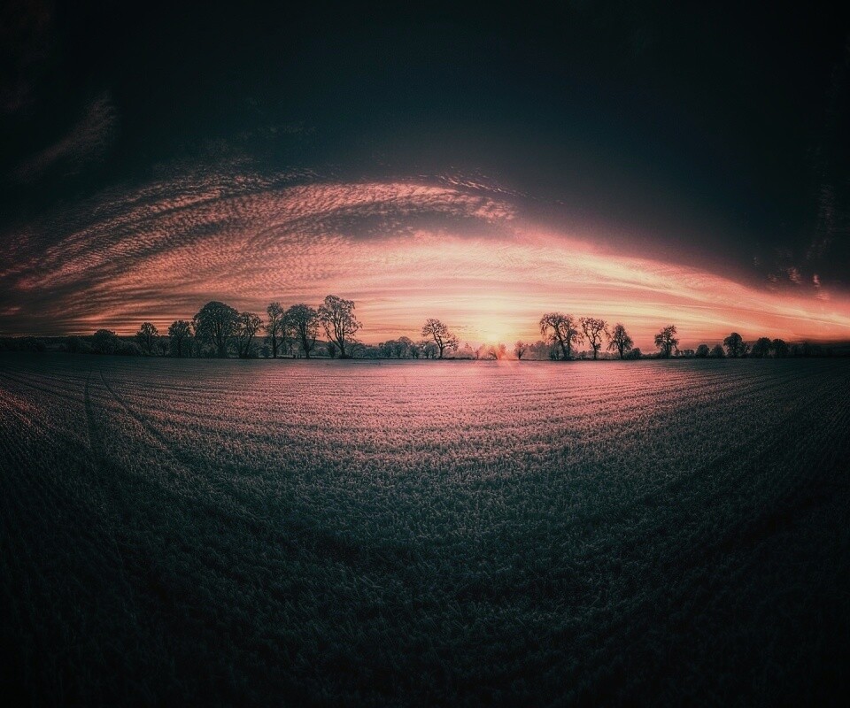 Поле широкоугольным объективом обои