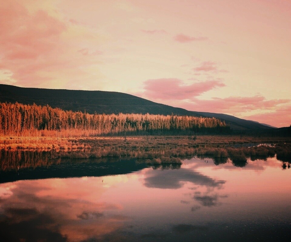 Осеннее озеро обои