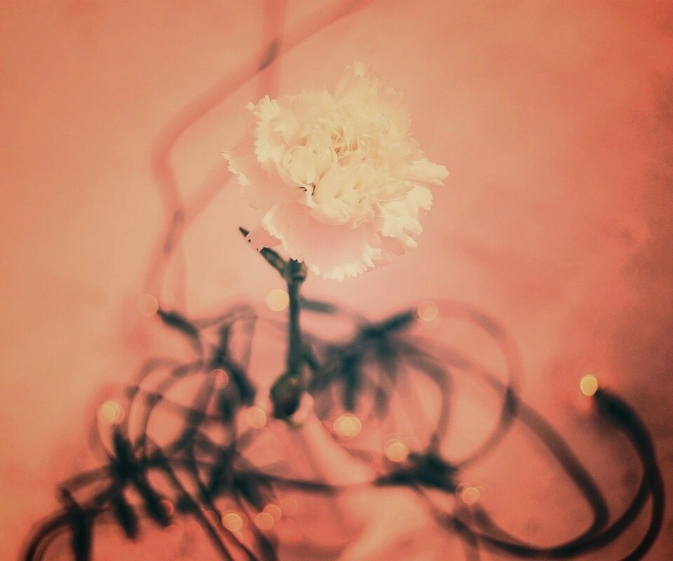 Электронный цветок обои