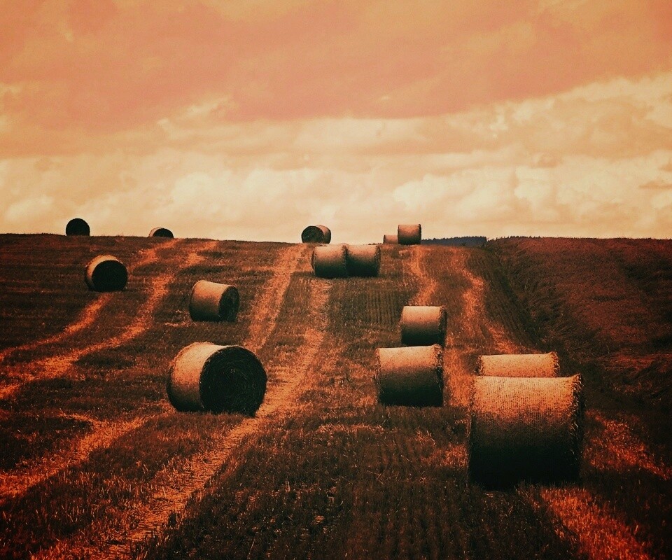 Уборка сена с поля обои