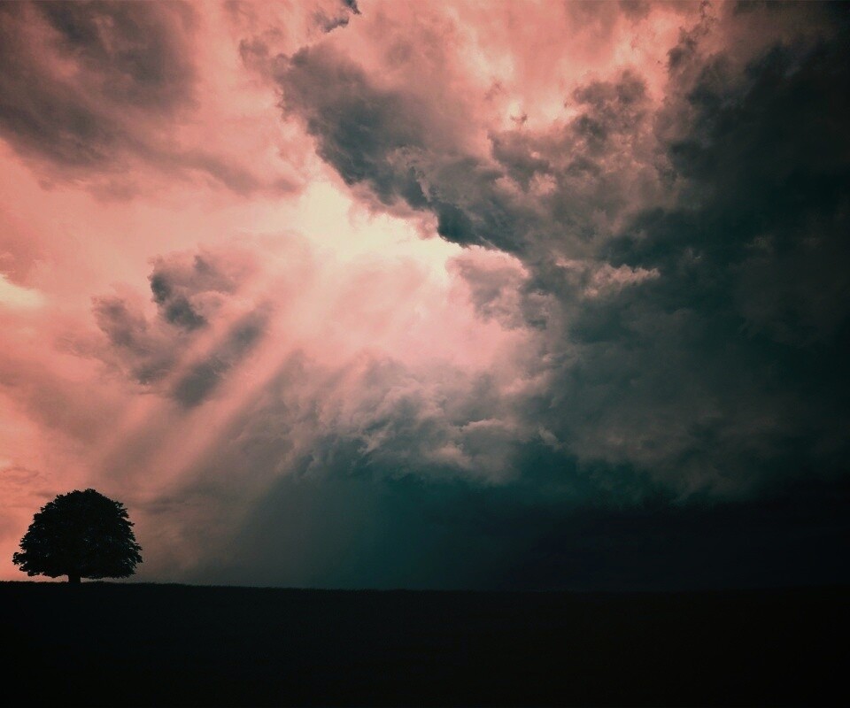 Избранный обои