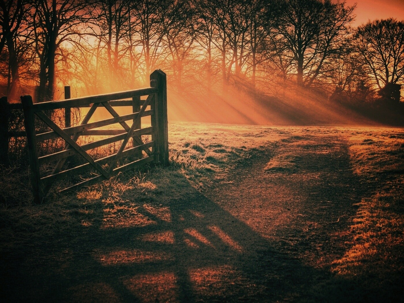 Открытые ворота обои