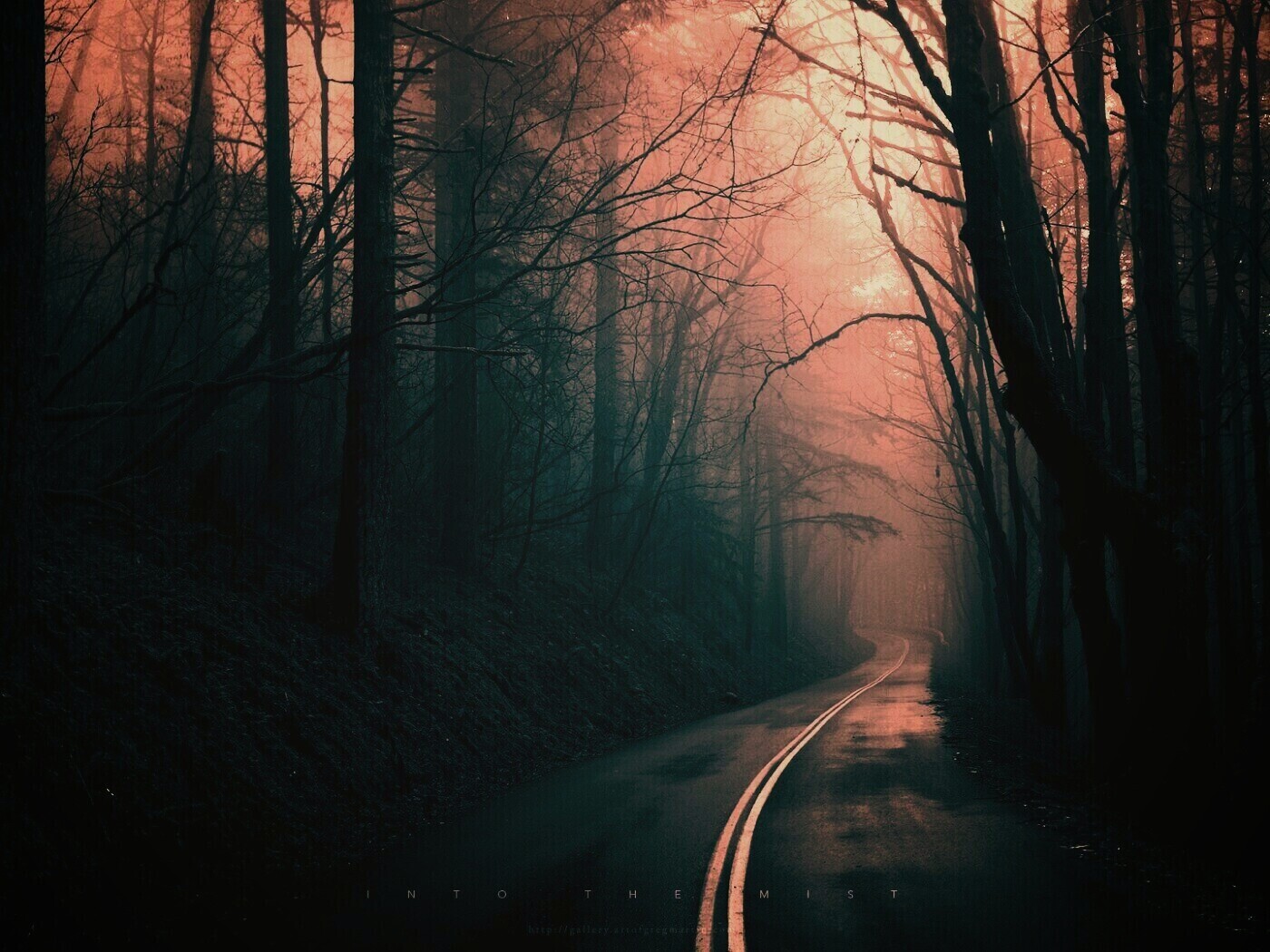 В туман обои