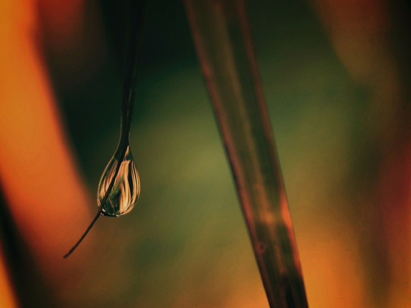 Стекающая капля обои