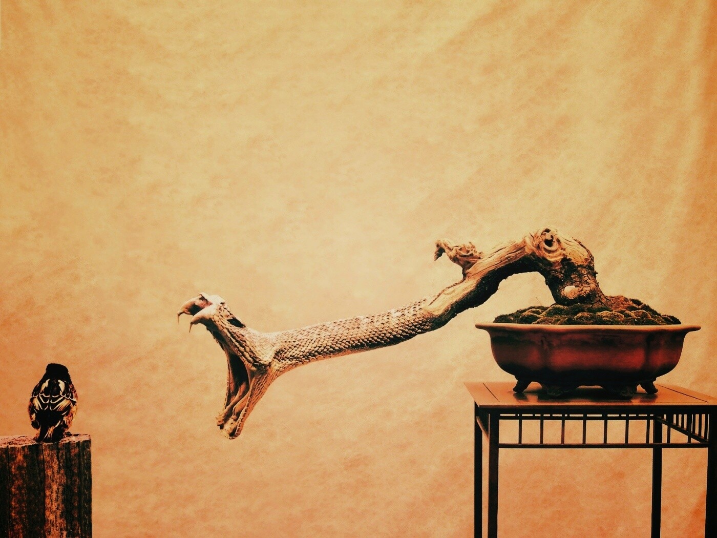 Змея-коряга напдает на птичку обои