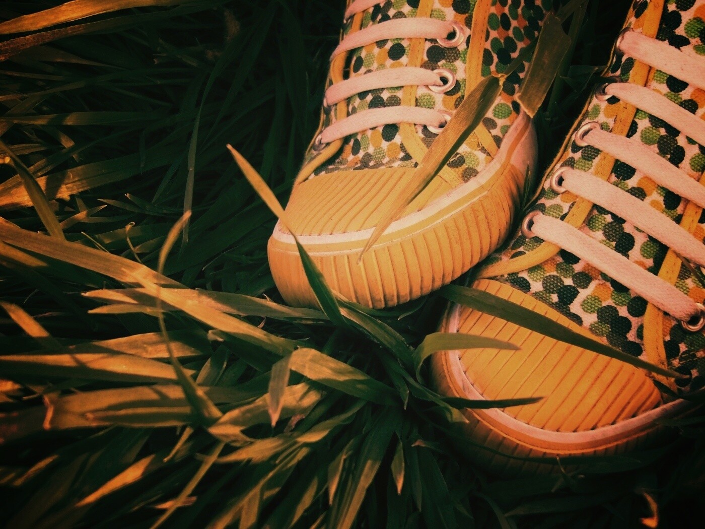 Желтые кеды в горошек обои