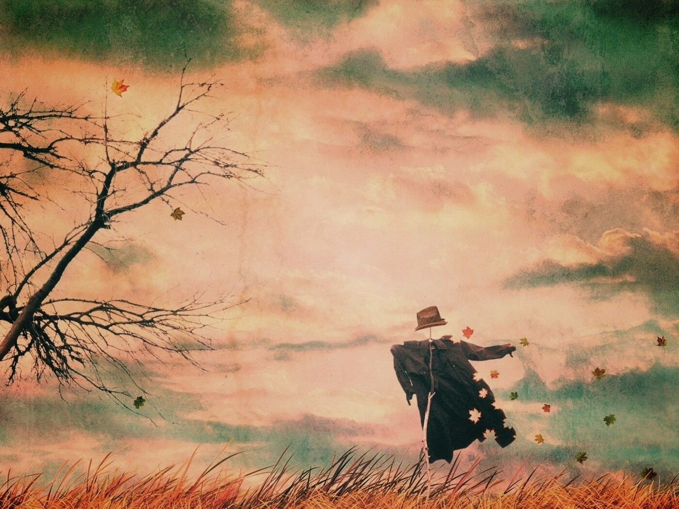 Забытое пугало обои