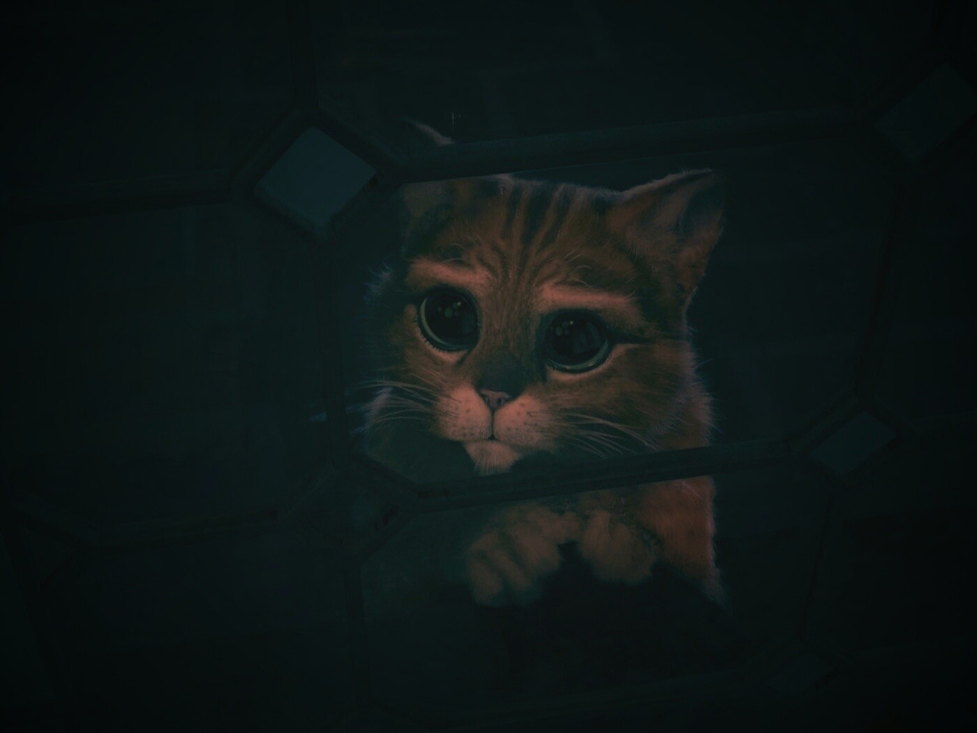 Кот в сапогах обои