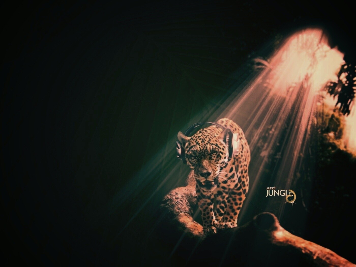 Ягуар в наушниках обои