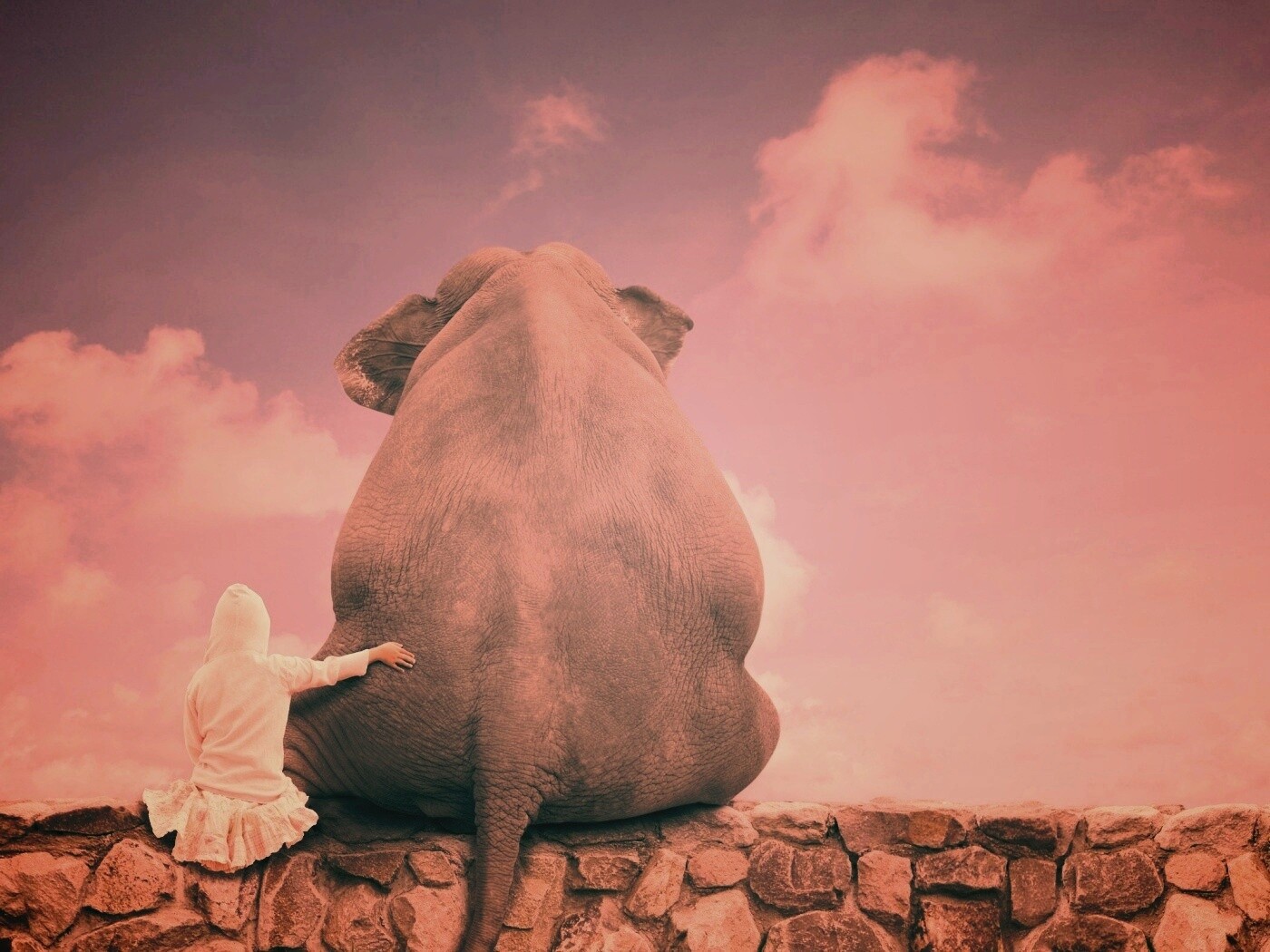 Девочка и слон обои