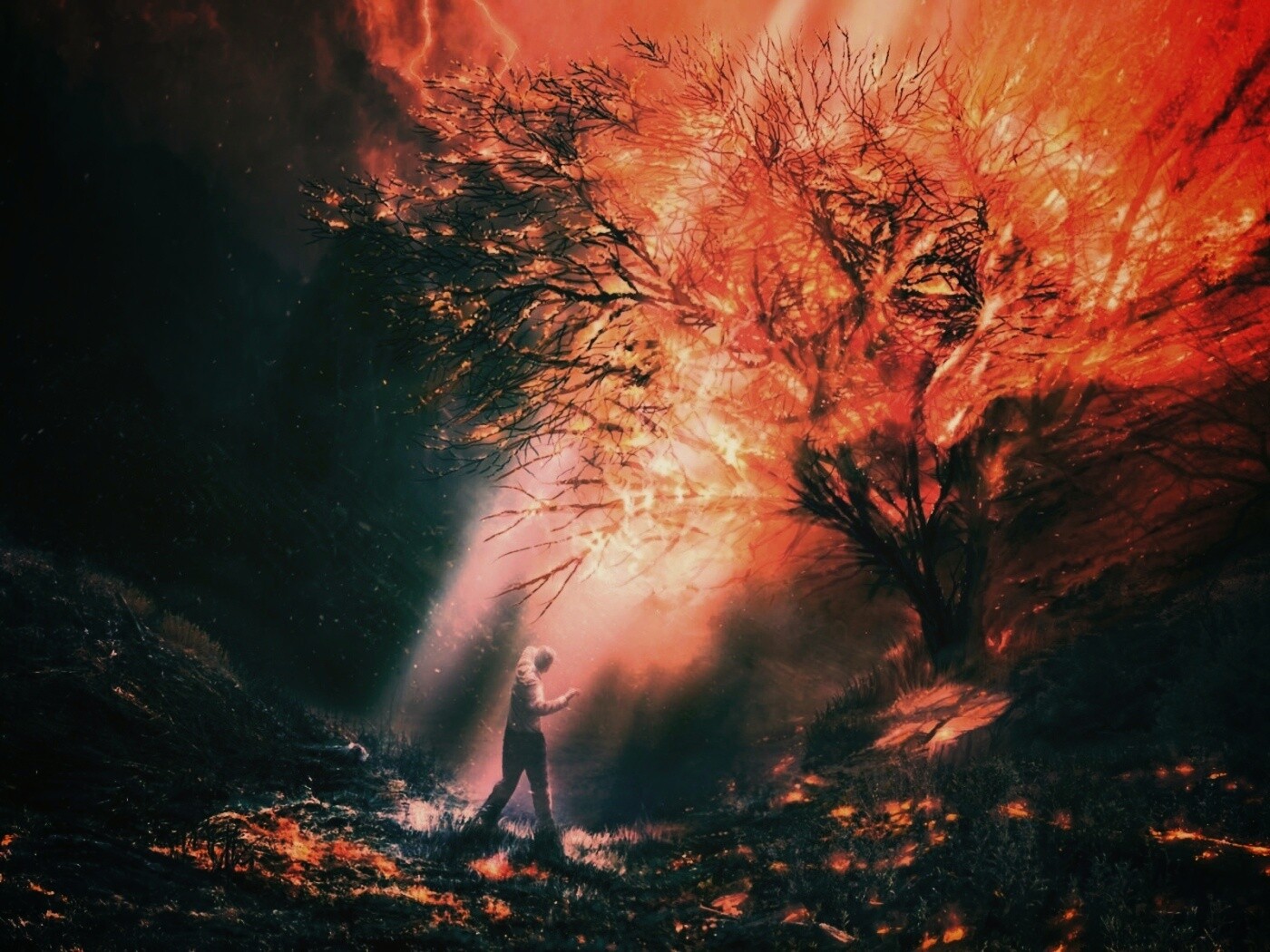 Горящее дерево обои