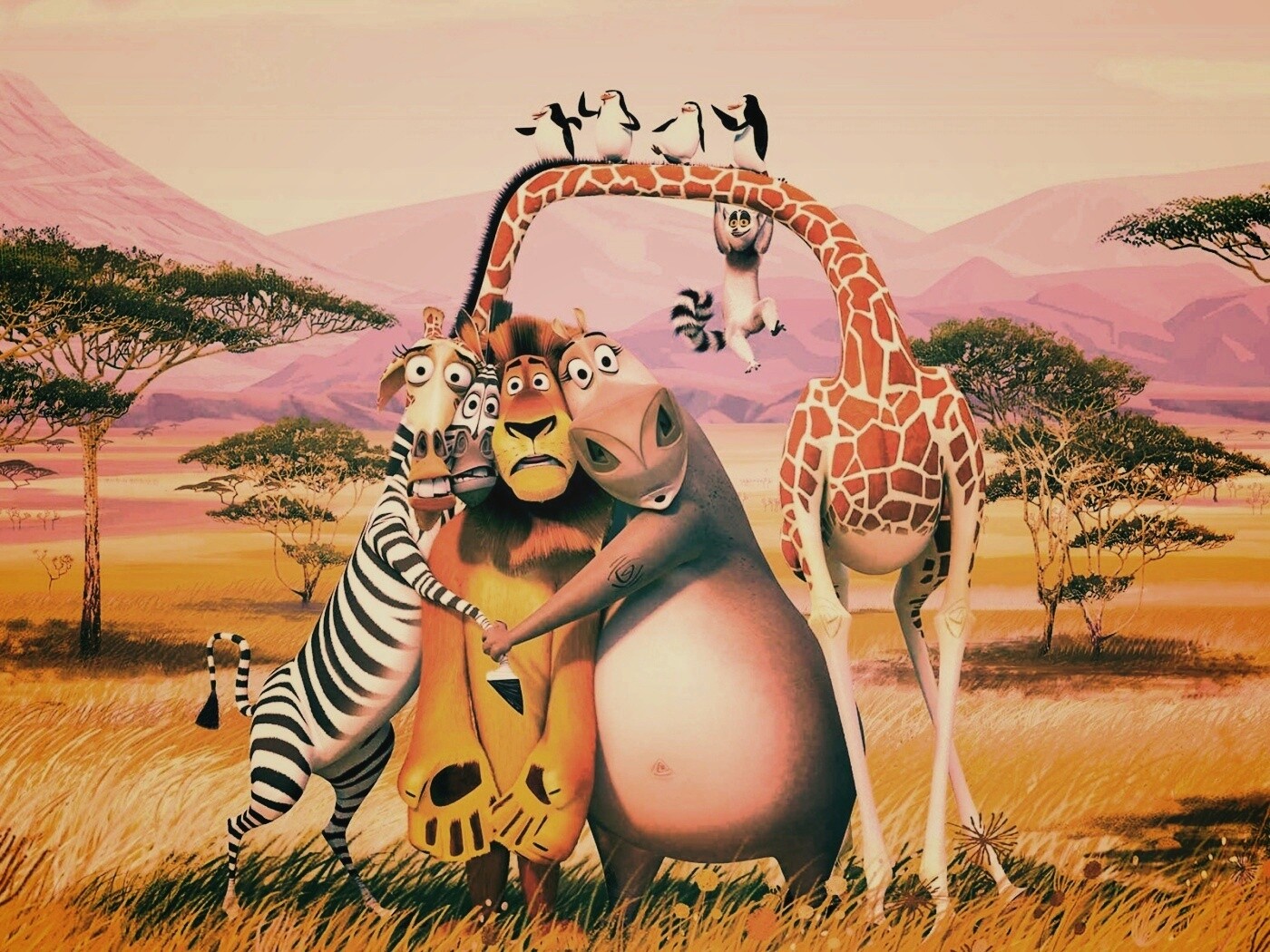 Герои мультфильма Мадагаскар обои