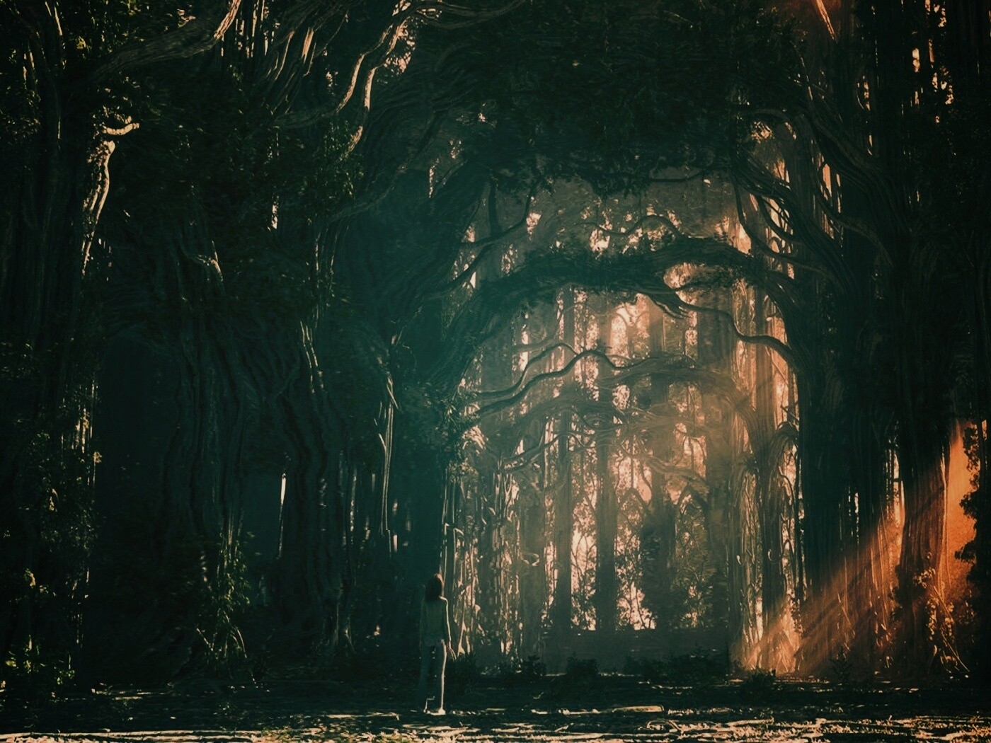 Одна в сумеречном лесу обои