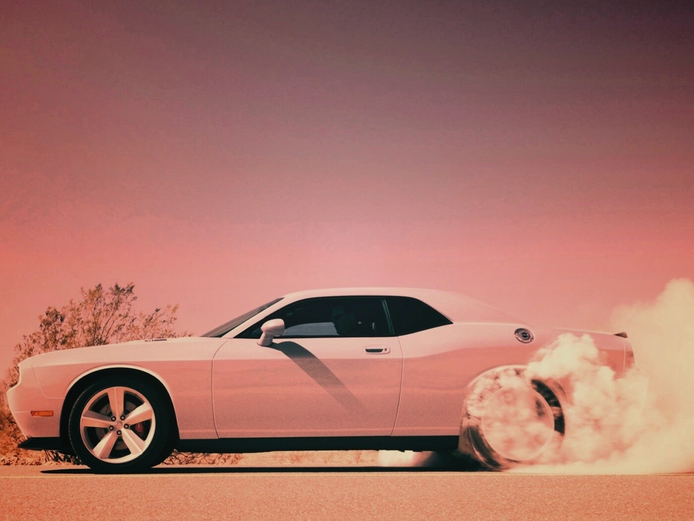 Стартующий Форд Мустанг обои