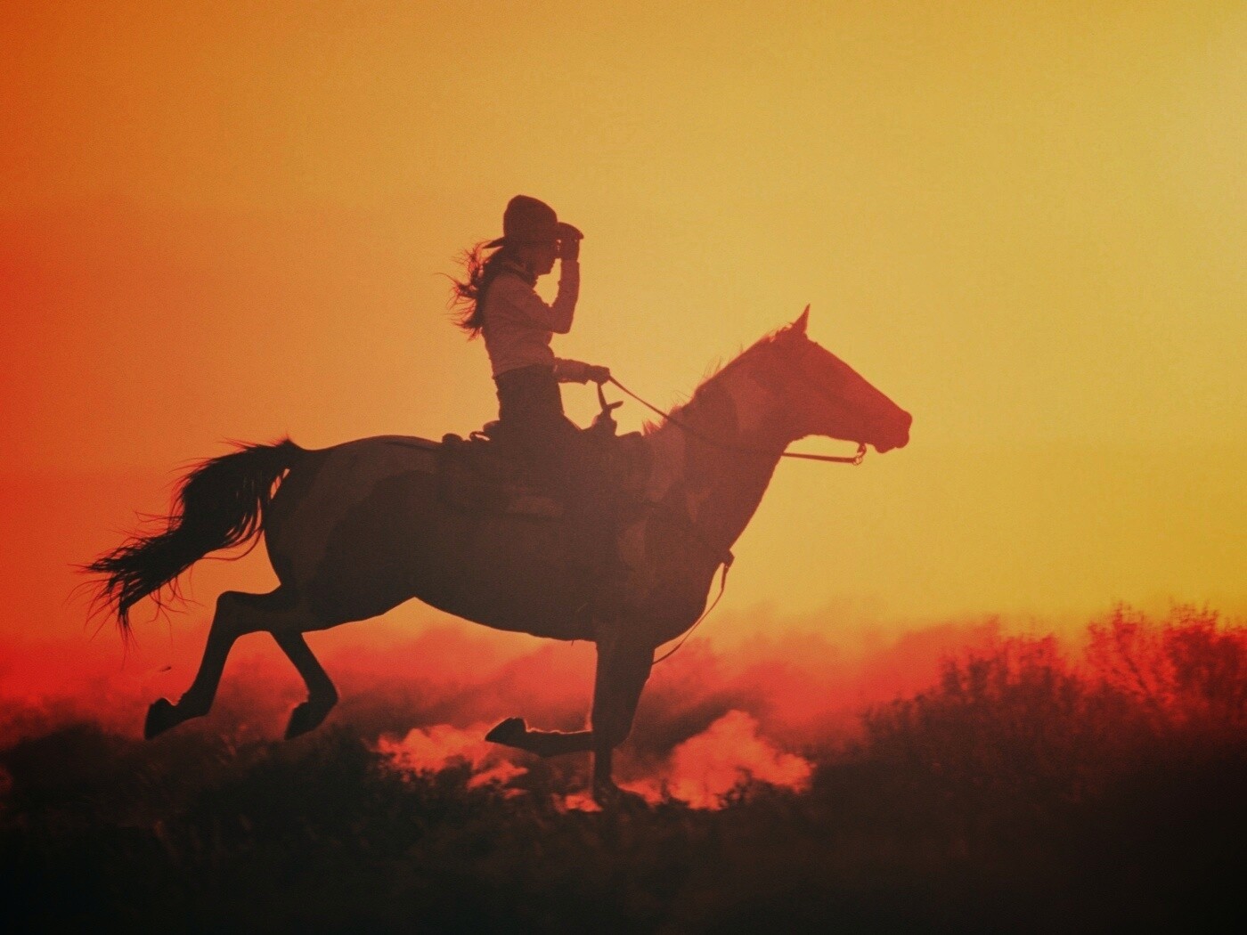 Наездница на закате обои
