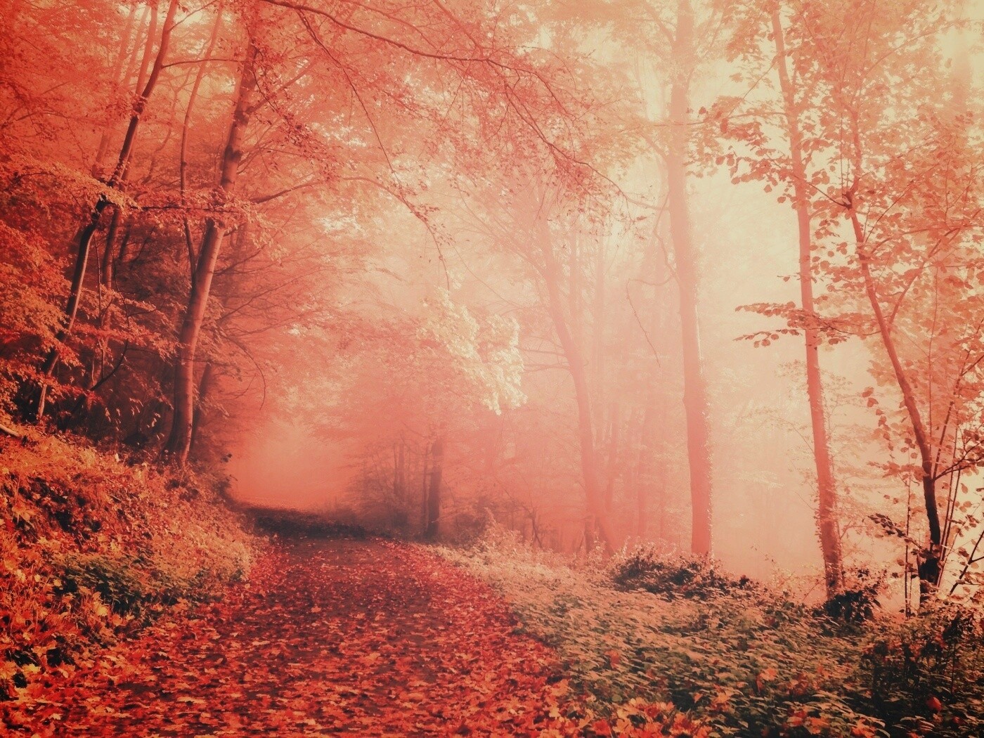 Осенний мистический пейзаж обои