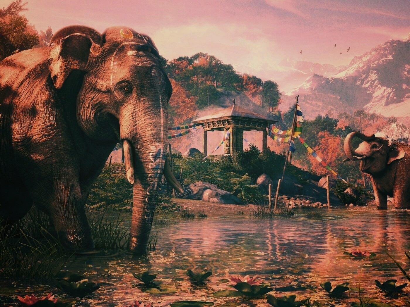 Слоники у воды обои