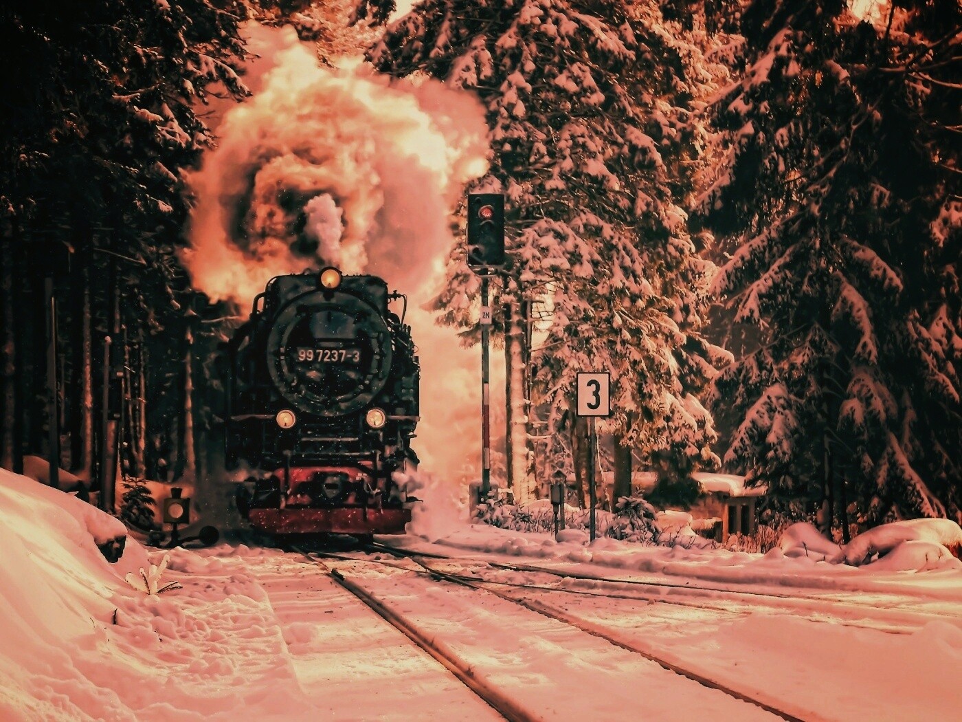 Паровоз в димнем лесу обои