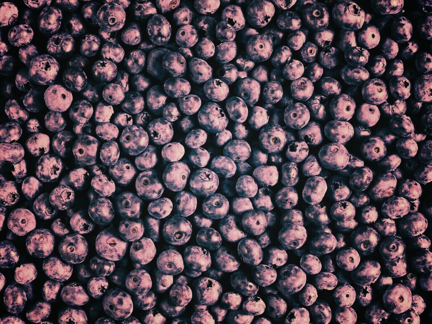 Черника обои