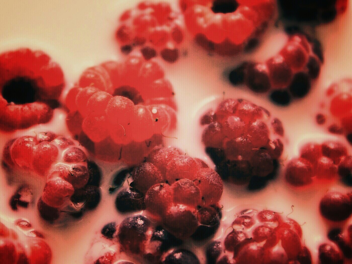 Малина в молоке обои