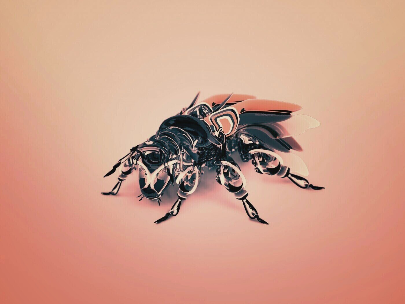 Кибер муха обои