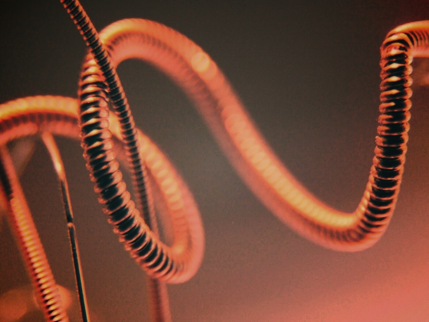 Пружина обои